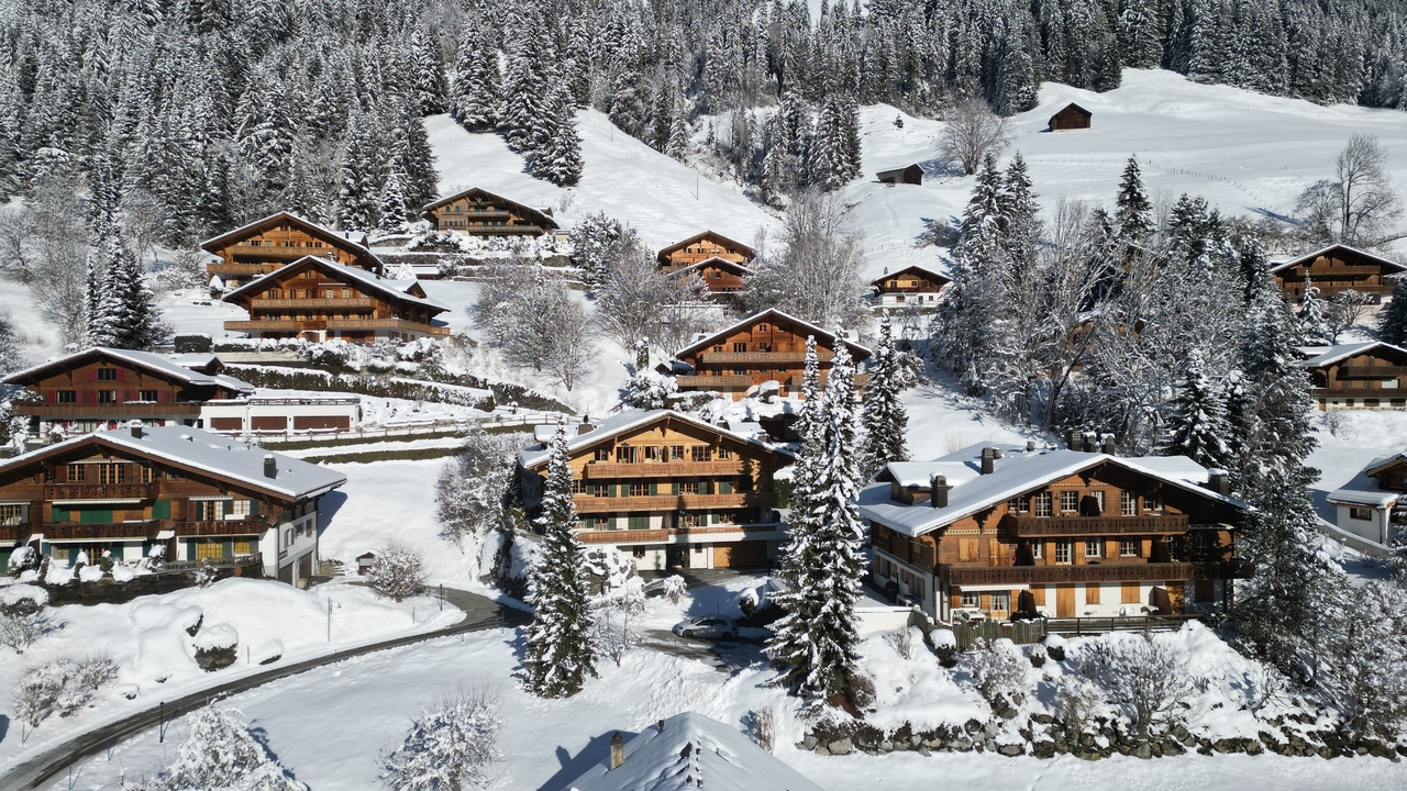 Daire Rougemont - picture 6