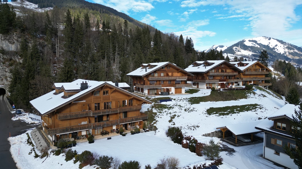 Daire Château-d'Oex - picture 12