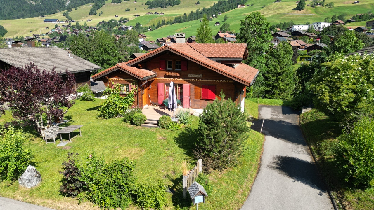 Ev Château-d'Oex - picture 10