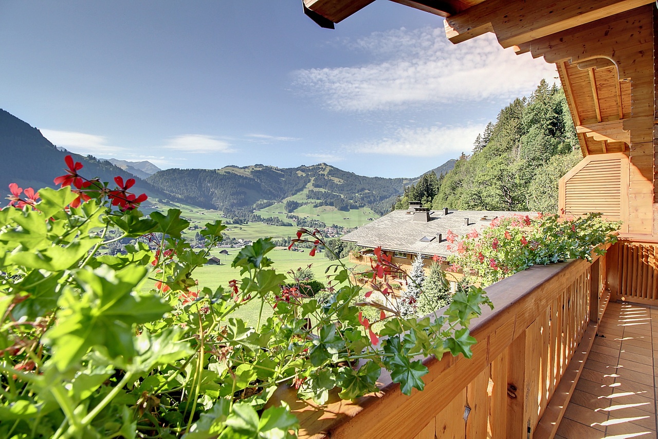 Daire Château-d'Oex - picture 2