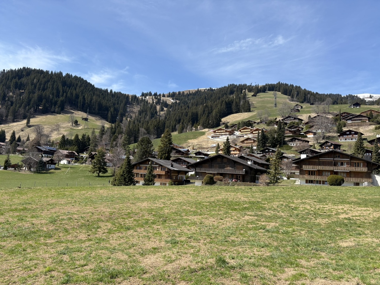 Daire Schönried - picture 4