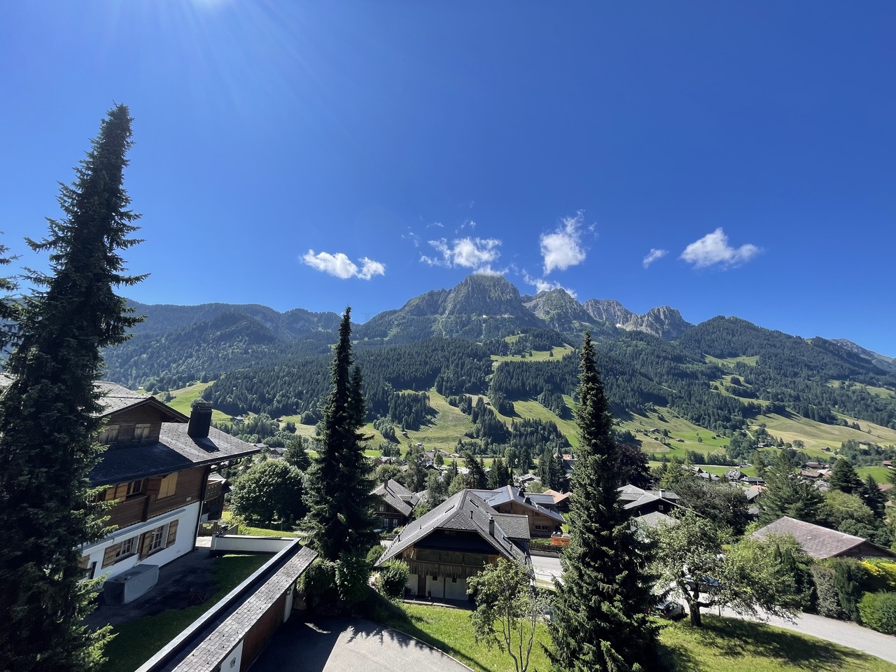 Daire Rougemont - picture 5