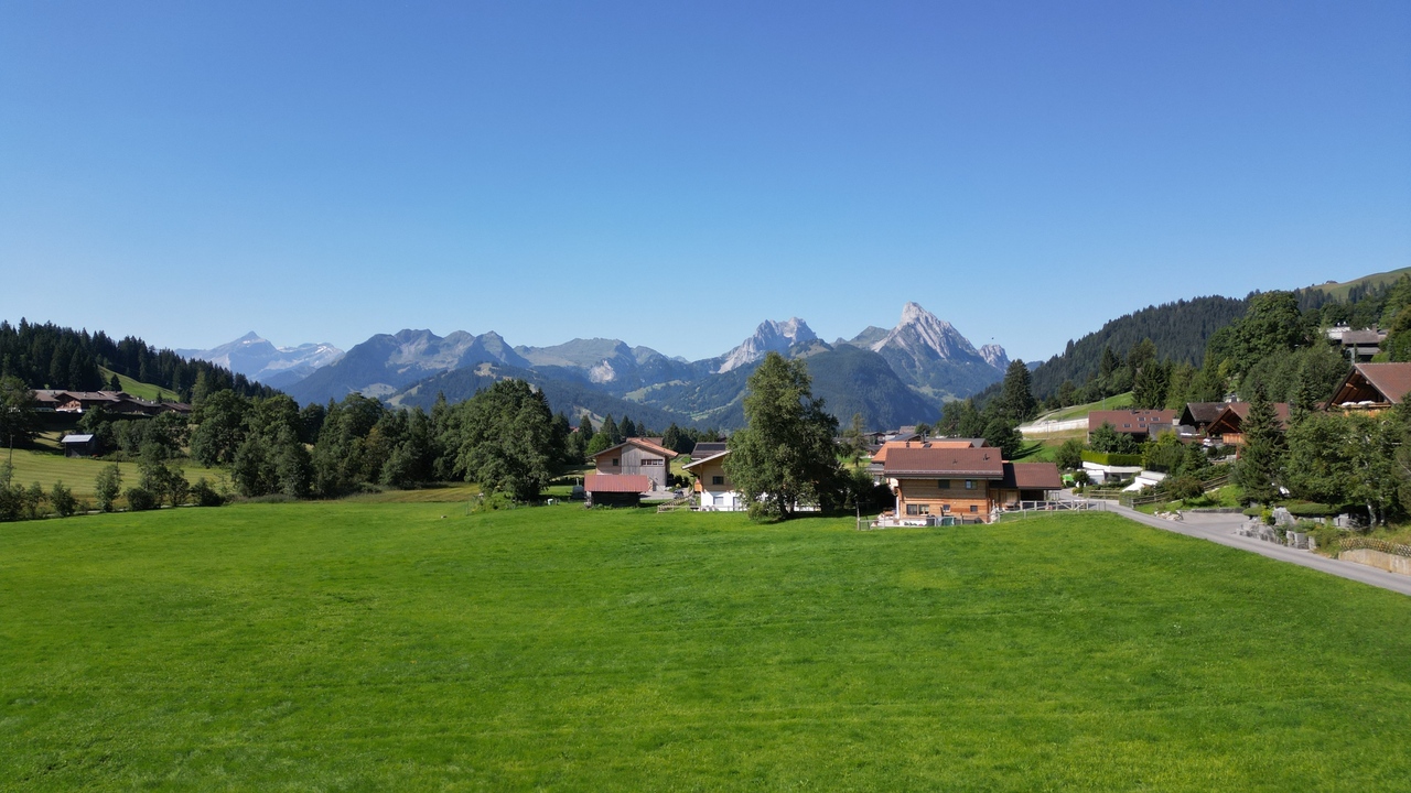 Schönried  - Terrain  - picture 4