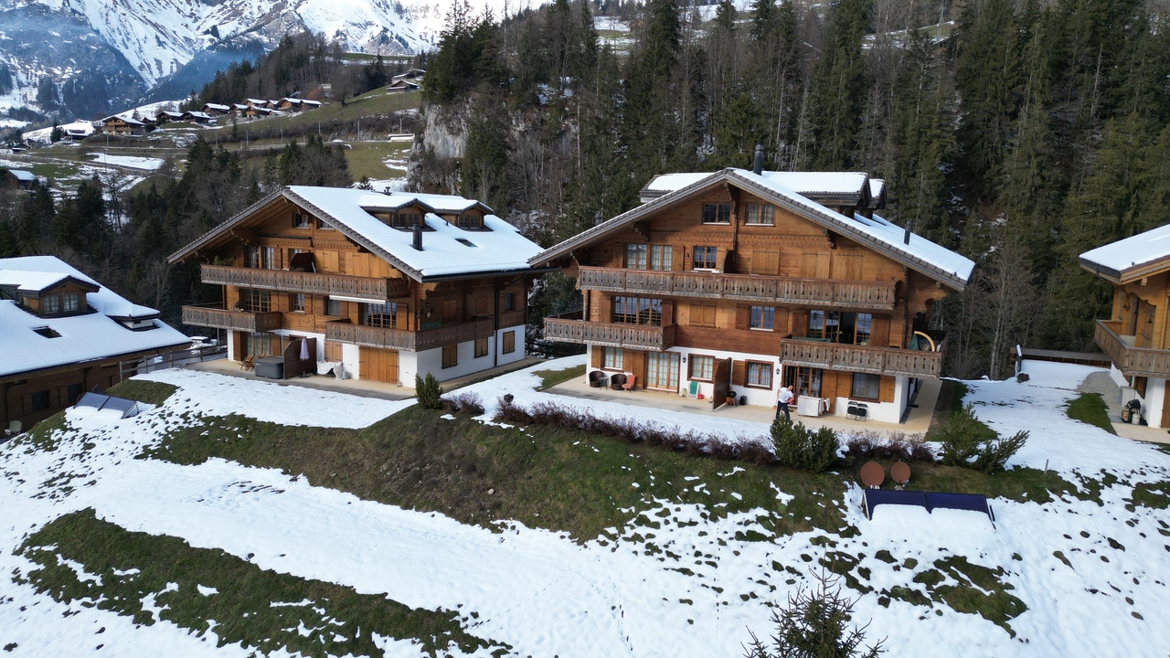 Daire Château-d'Oex - picture 8