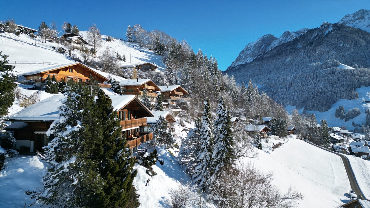 Chalet Château-d'Oex  -  ref B-18F (picture 2)