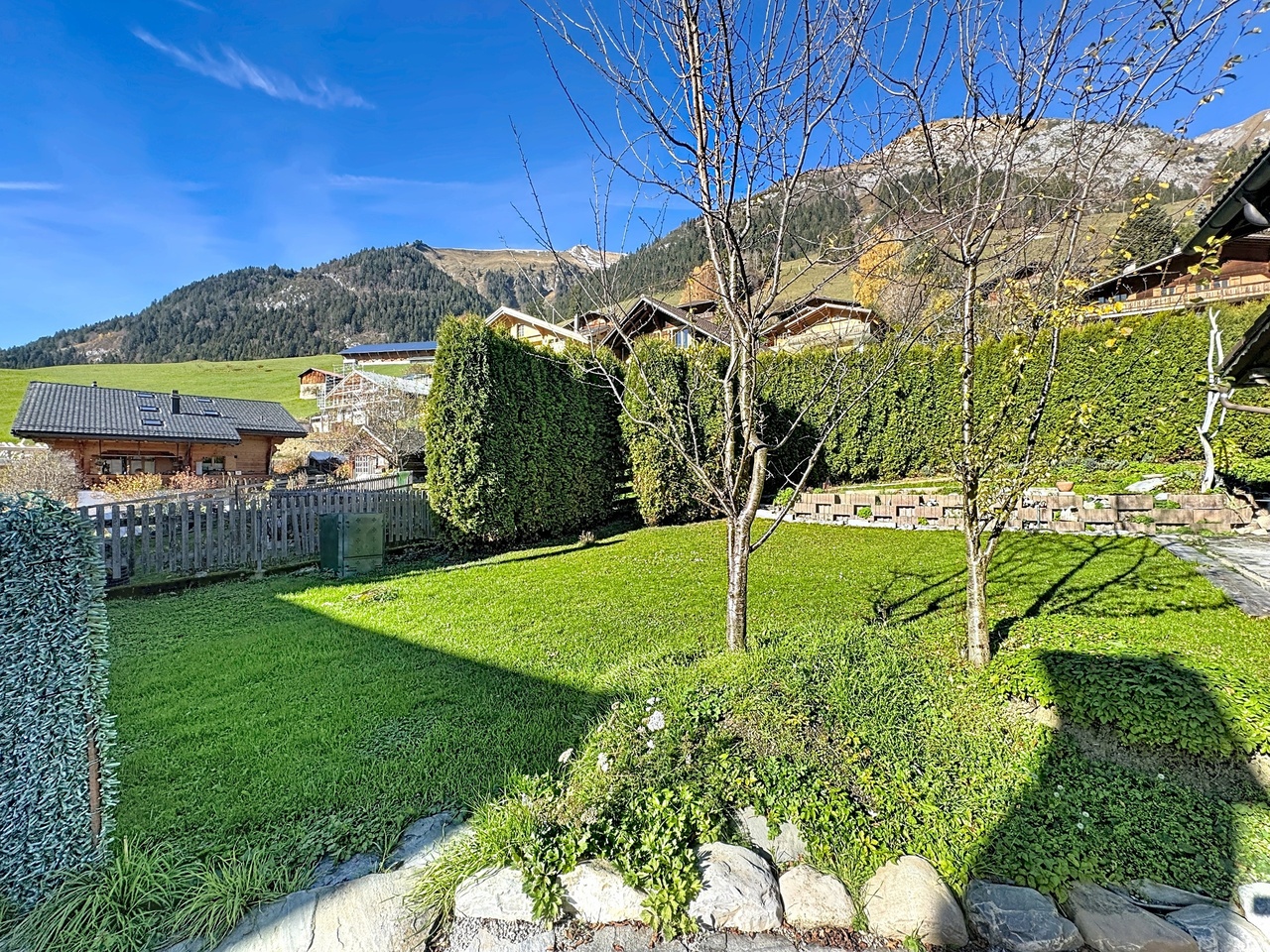 Ev Château-d'Oex - picture 9