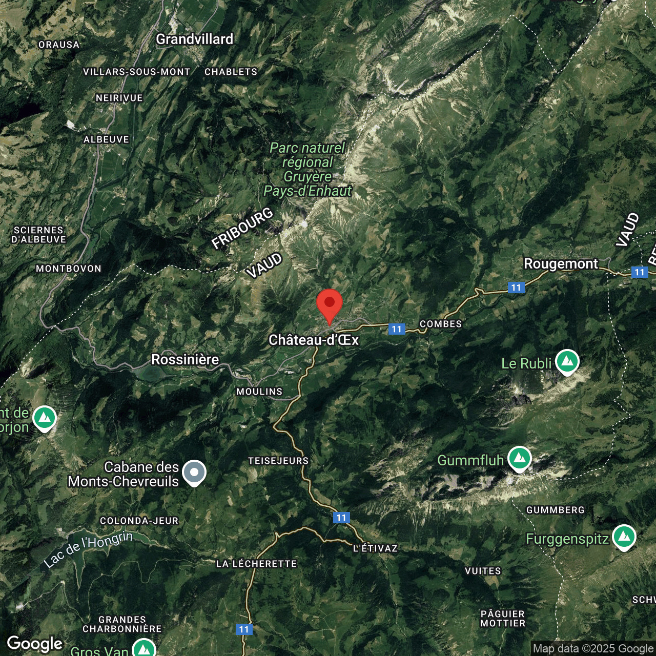 Daire Château-d'Oex - picture 11