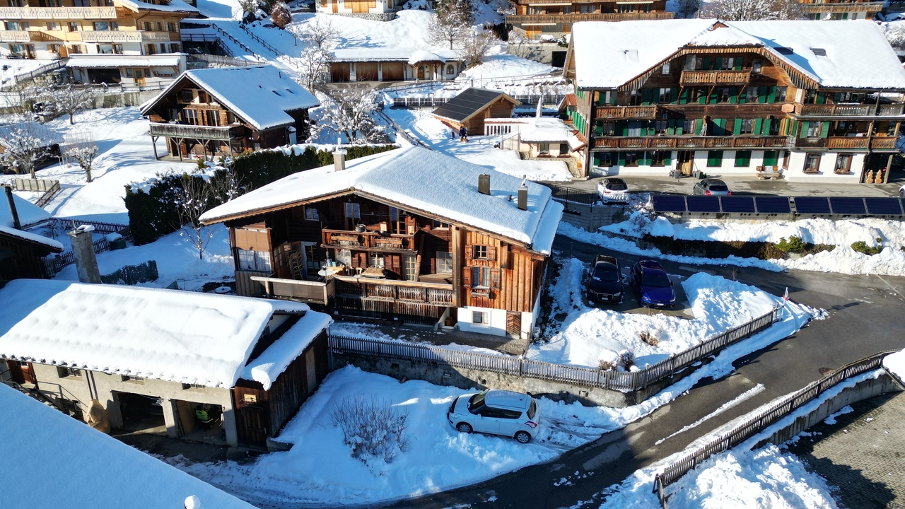 Ev Château-d'Oex - picture 11