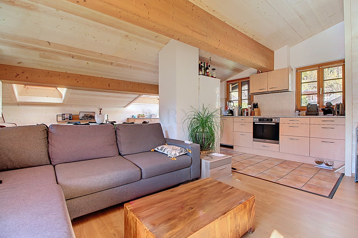 Ev Château-d'Oex - picture 8